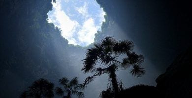 ecosistema cueva hubei 02