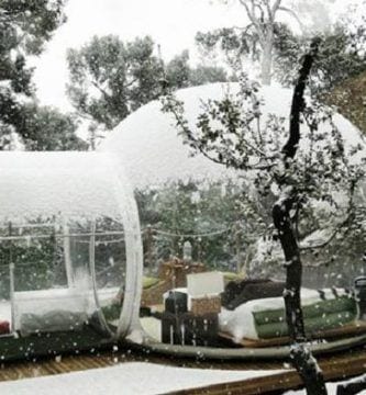 tienda transparente 06