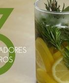 ambientadores caseros dest