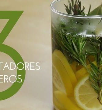 ambientadores caseros dest