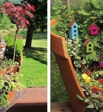 macetas rotas destacada