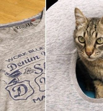 tienda casa gato 768x432 1