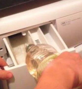 vinagre ropa portada