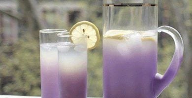 bebida lavanda