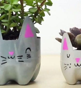 maceteros botellas gatos