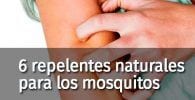 repelentes naturales mosquitos 07