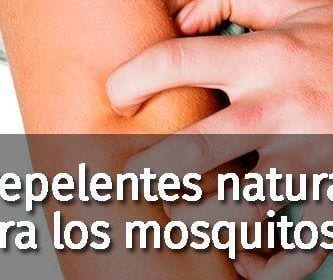 repelentes naturales mosquitos 07
