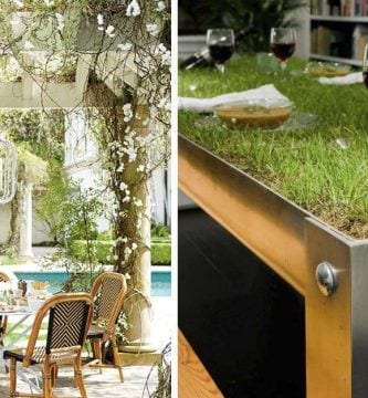 decorar con plantas destacada