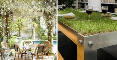 decorar con plantas destacada