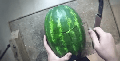 escultura sandia