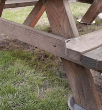 repelente hormigas 01