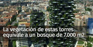 torres bosque vertical destacada