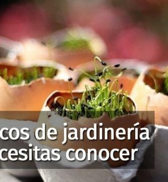 trucos jardineria destacada