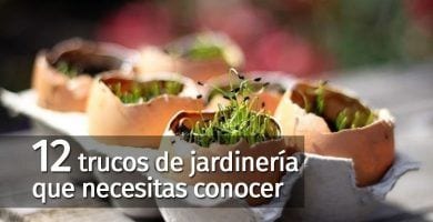 trucos jardineria destacada