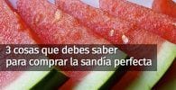 trucos sandia destacada