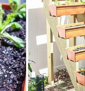 jardin escalonado destacada