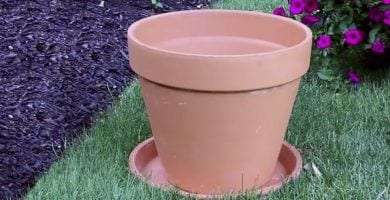 reciclar macetero