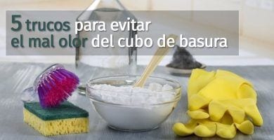 trucos evitar olor basura destacada