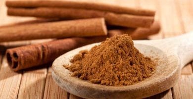 canela en jardin destacada
