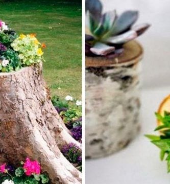 macetas en troncos destacada