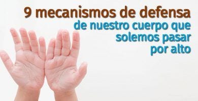 reacciones del cuerpo destacada