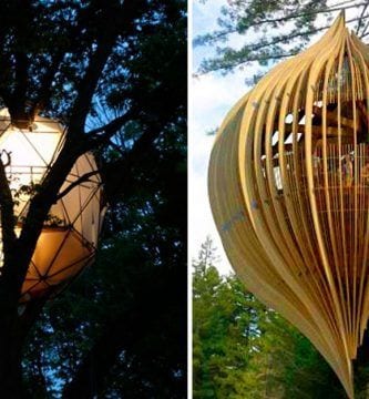 casas de arbol destacada