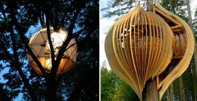casas de arbol destacada