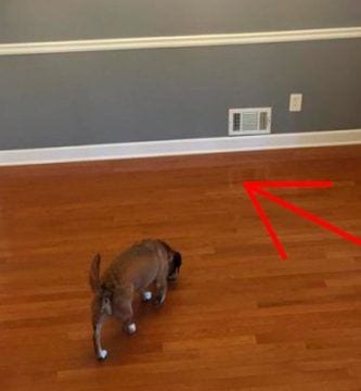 diy bancos comedor destacada