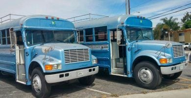 transformacion autobus destacada