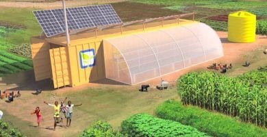 farm from a box