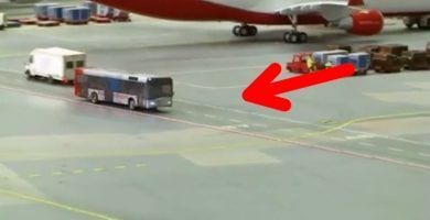 autobus serpiente