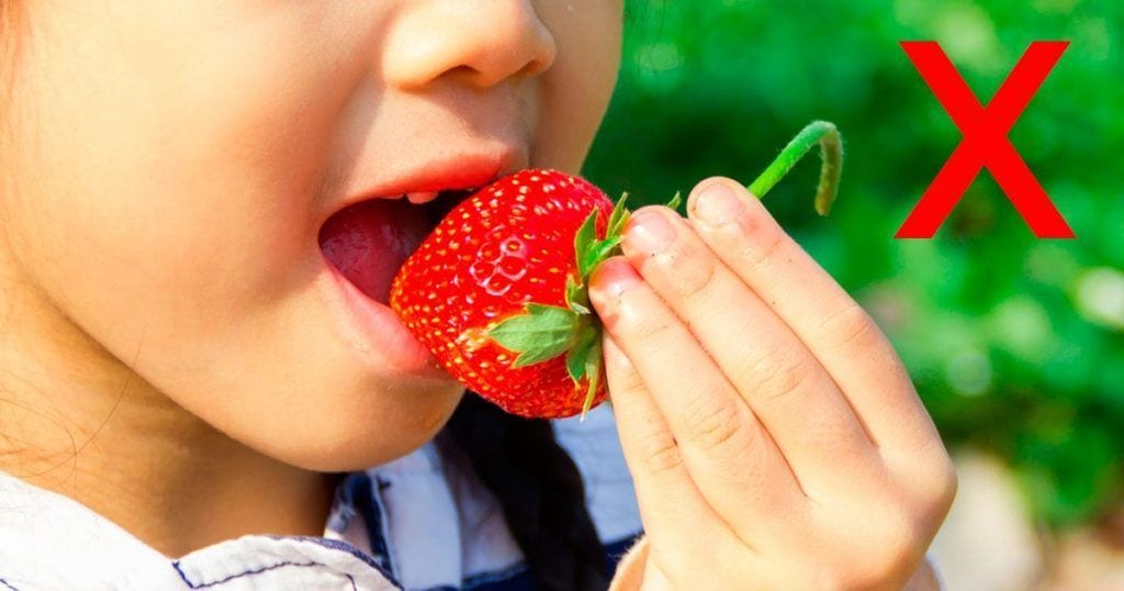 comer fresas destacada