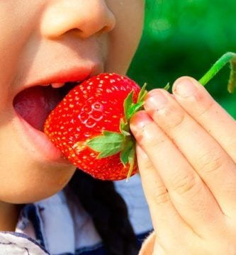 comer fresas destacada