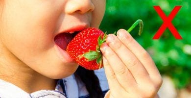 comer fresas destacada