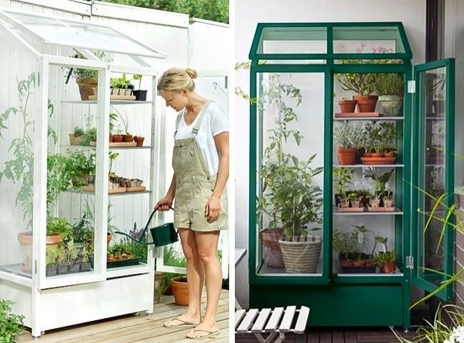 7 Ideas To Have A Mini Garden In Your Apartment Incredibleshouses