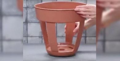 maceta patatas