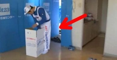 mudanzas japon destacada
