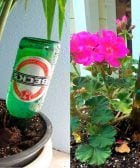 botellas regar plantas