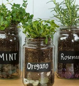 frascos vidrio huerto casa