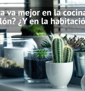 plantas interior casa destacada