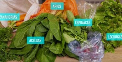conservar verdura trucos