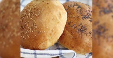 pan hamburguesa