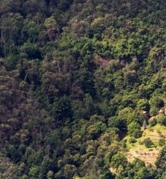 casas aisladas dest1