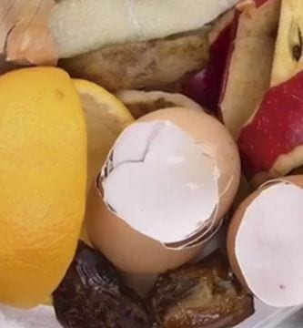 cascaras alimentos dest1