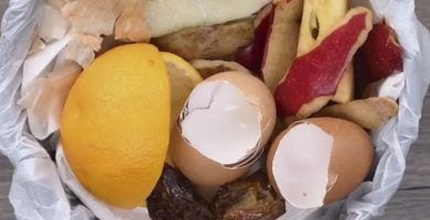cascaras alimentos dest1