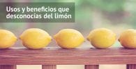 limones usos