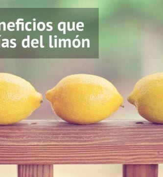 limones usos
