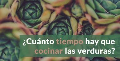 tiempo coccion verduras