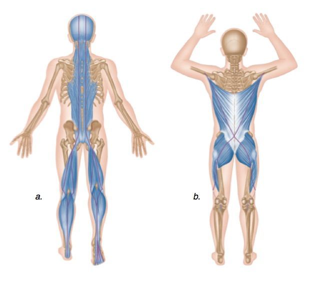 espalda-postura2