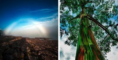 fenomenos raros naturaleza